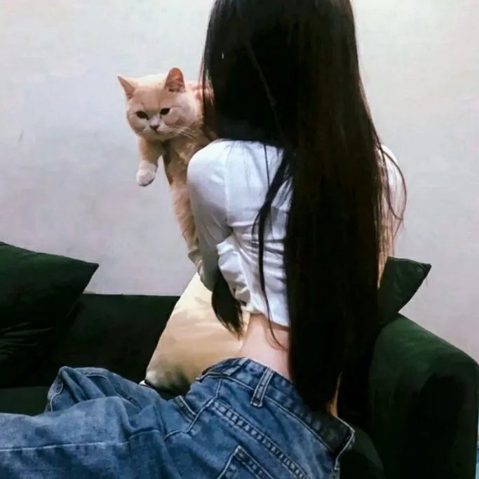百科全说